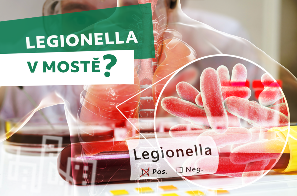 Bakterie Legionella v Mostě